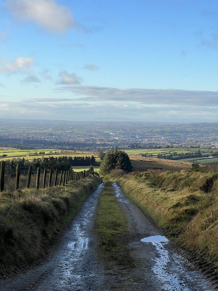 SimonGray14's tweet photo. Up on Mullaghcarn this morning with Omagh just down below, Golden Plover calling and a few red grouse knocking about too! @UlsterWildlife @exploresperrins @sperrinkilleter #mullaghcarn #sperrins https://t.co/qvdegRSJED