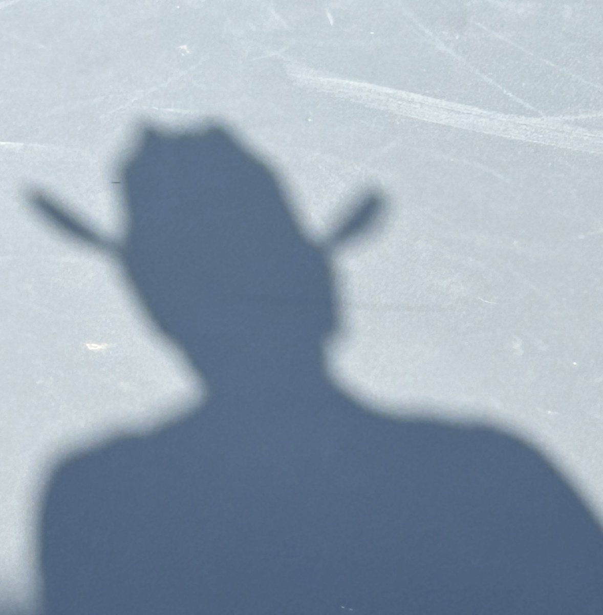 matty_pickles's tweet image. Basil and I have secured an awesome guest for the World’s Shortest Pickleball Podcast this week. Can you guess who it is? Here is his shadow for a hint: