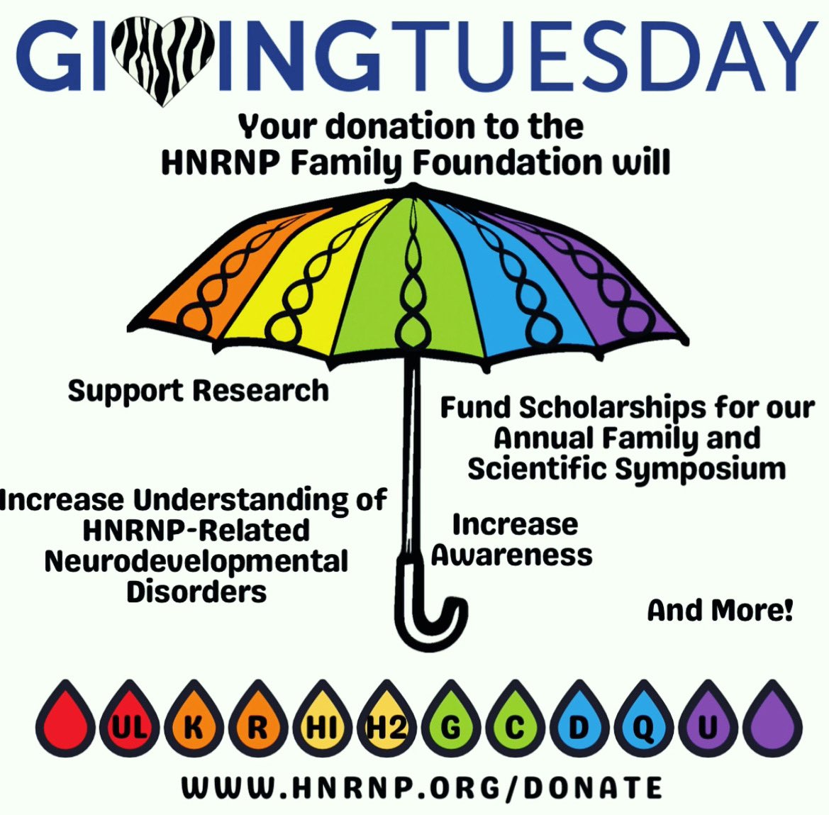 It’s #GIVINGTUESDAY! All donations go to research and supporting our HNRNP-RNDD community -including family meetings!