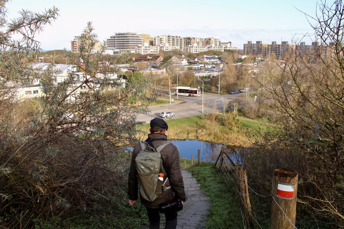 Dick van der Plas tweet media