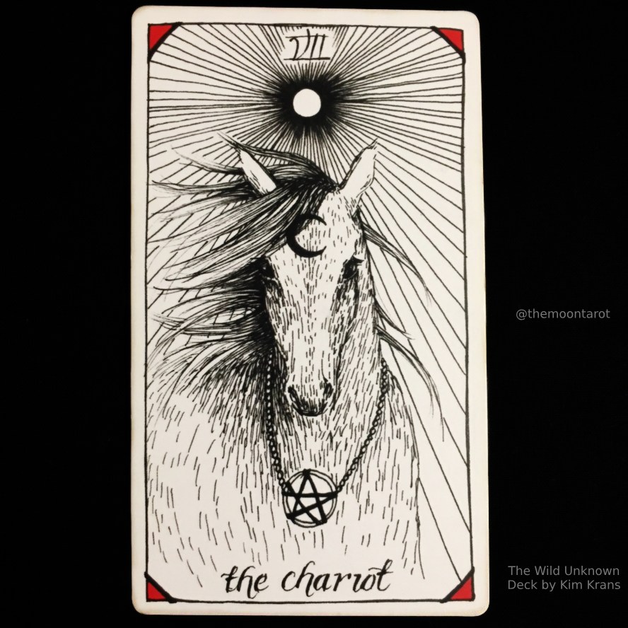 themoontarot_'s tweet photo. Today's Energy Reading: November 29, 2023

It doesn’t matter how fast or slow you go…

Breathe, nourish your body, and maintain compassion the best you can.

The little things to you to take care of yourself add up to an incredible human, dear one. https://t.co/ZOjAFl6LBf