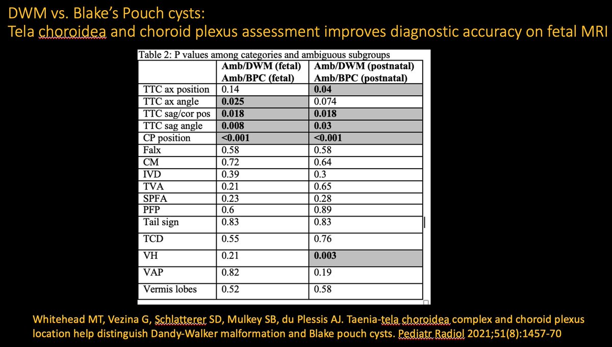 Matthew T. Whitehead tweet media