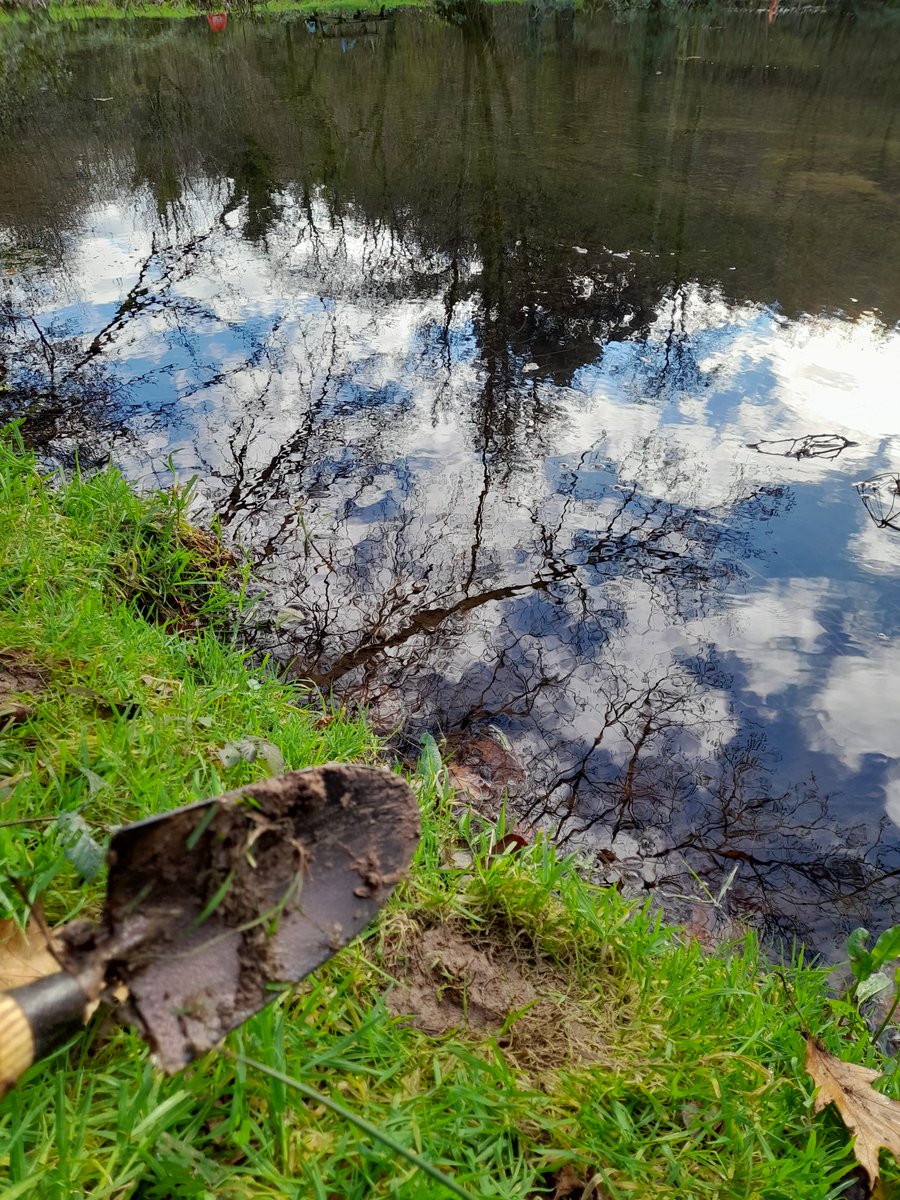 West Country Buzz tweet media