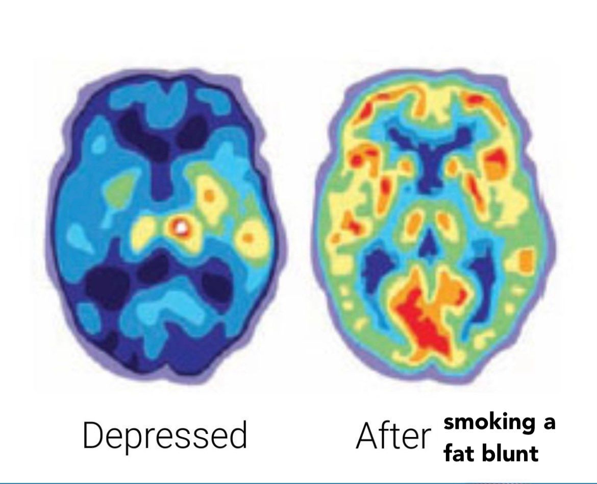 WeedPorns's tweet photo. Facts https://t.co/7vaZyRwlIe
