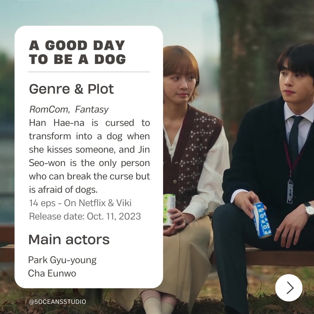 5 Oceans Studio tweet media