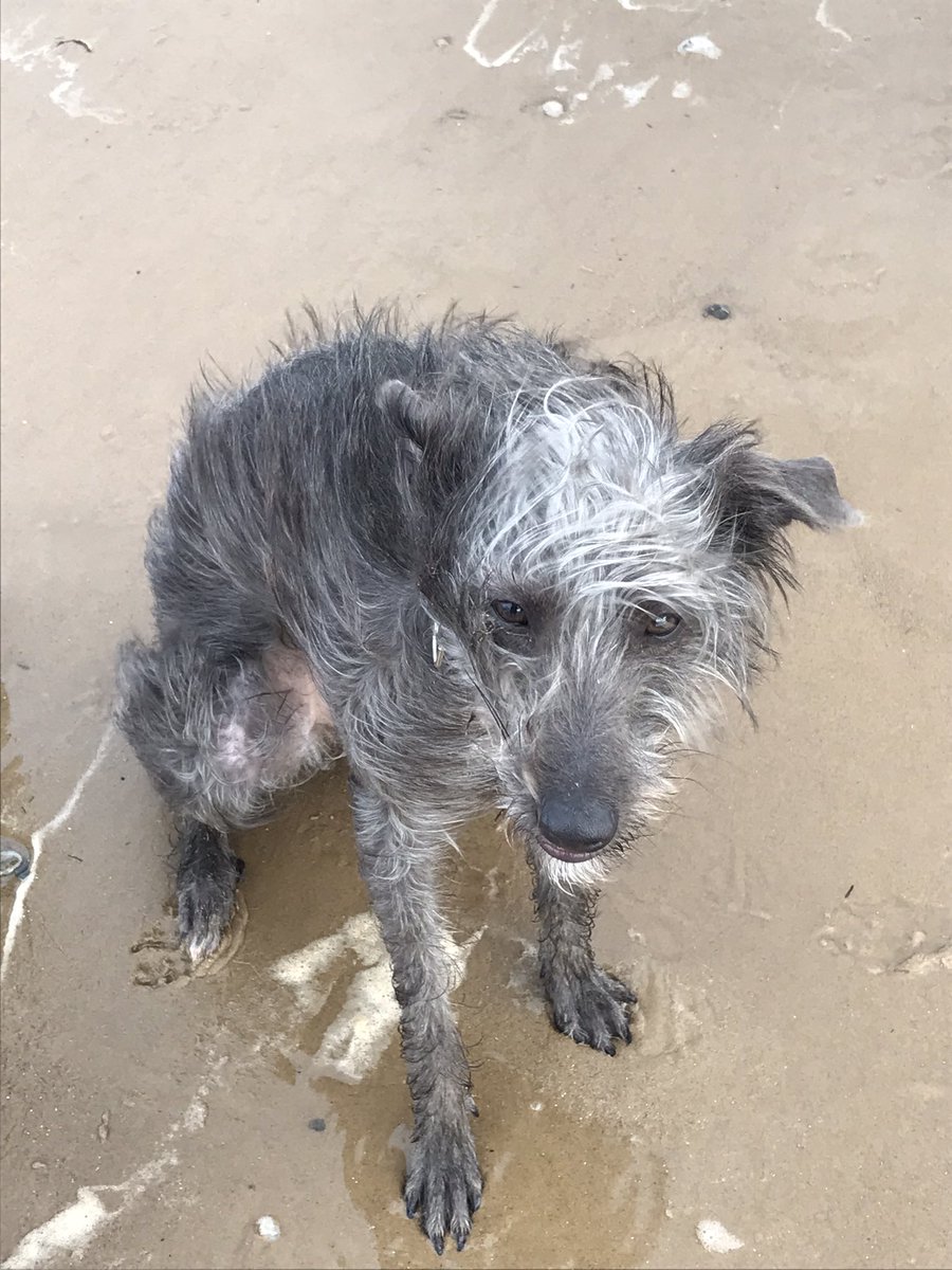 Corrie Watson ๐ด๓ ง๓ ข๓ ณ๓ ฃ๓ ด๓ ฟ๐ช๐บ tweet media