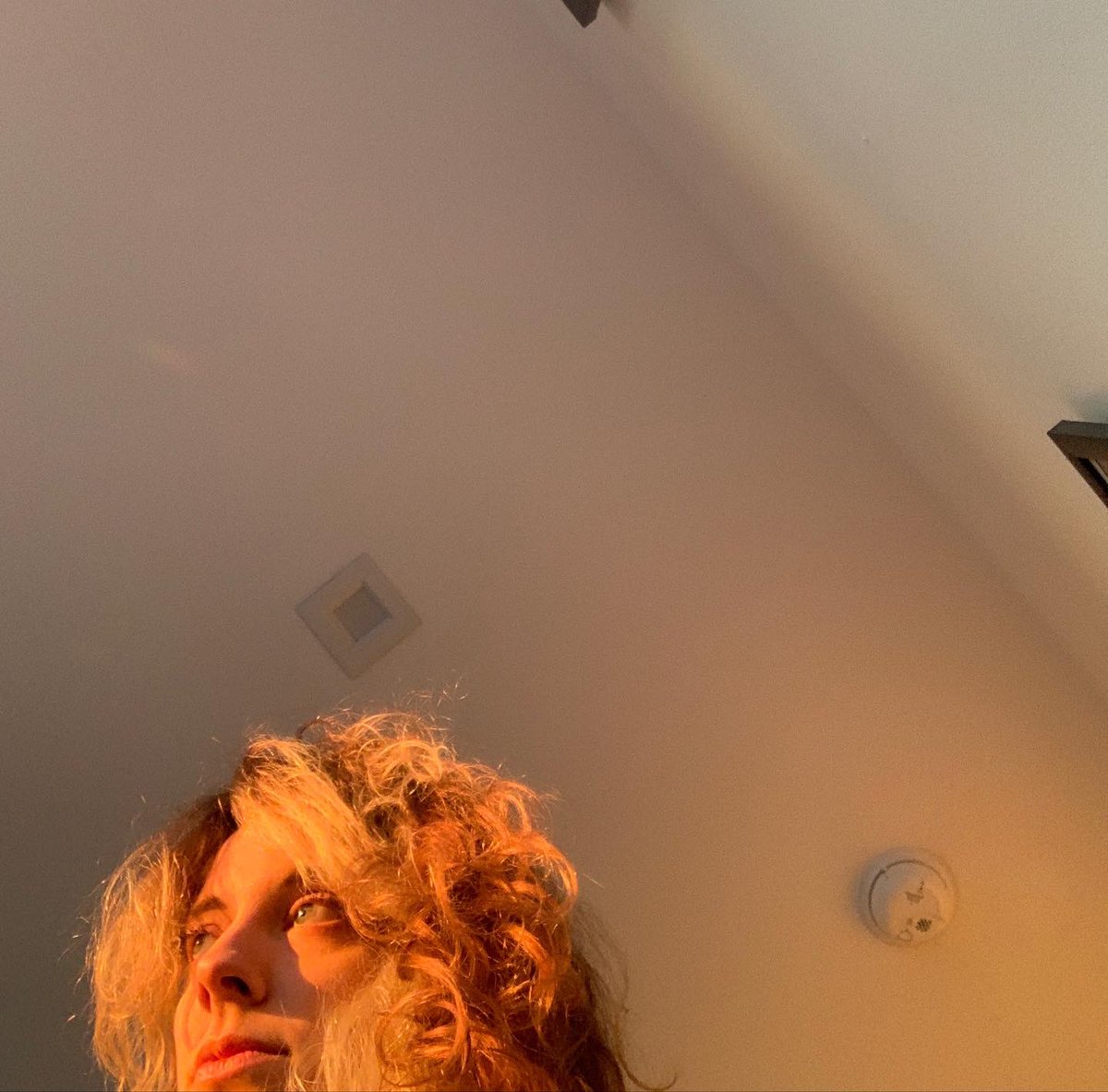 mallory tweet media