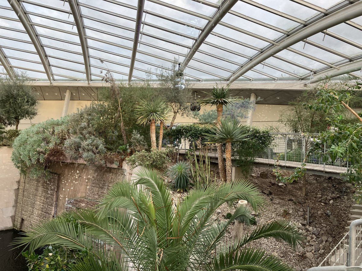 Katie Benallick tweet media