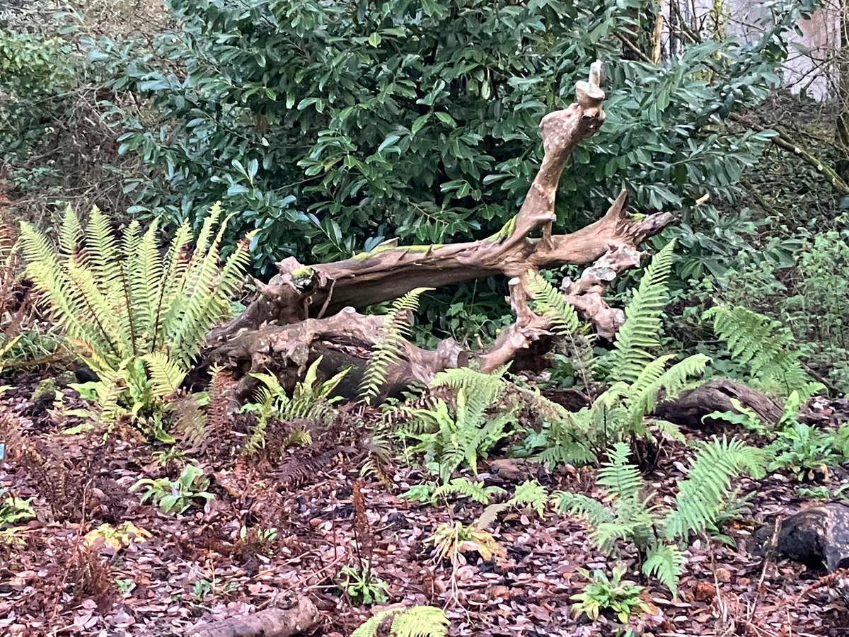 Katie Benallick tweet media