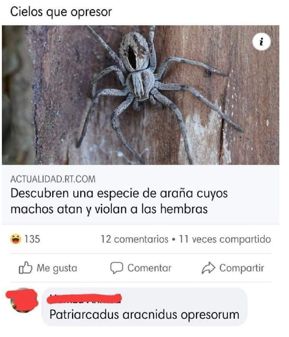 LtAgosta's tweet photo. Esto son memes que ejemplifican la estrategia del #TeamAlienadas para deslegitimar el feminismo. https://t.co/ECqBRNi9rv