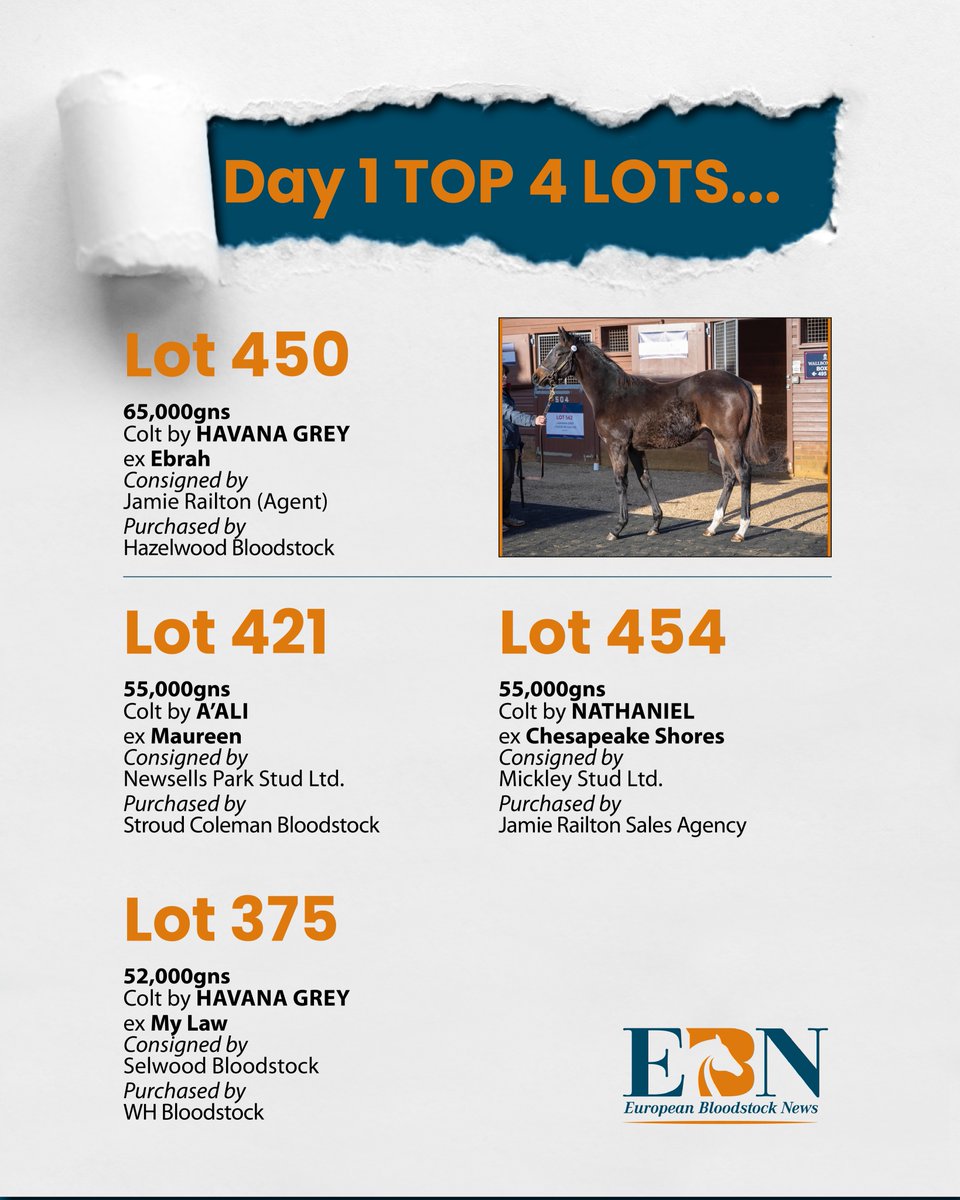 ⭐️ Take a look at the Top Lots for Day 1 of the @Tattersalls1766 December Yearling Sale ⭐️ 💥 Lot 450 - colt by HAVANA GREY was consigned by @jamierailton and purchased by Hazelwood Bloodstock for 65,000gns 📰 Catch the full round-up of today in tomorrow's EBN #ReadAllAboutIt