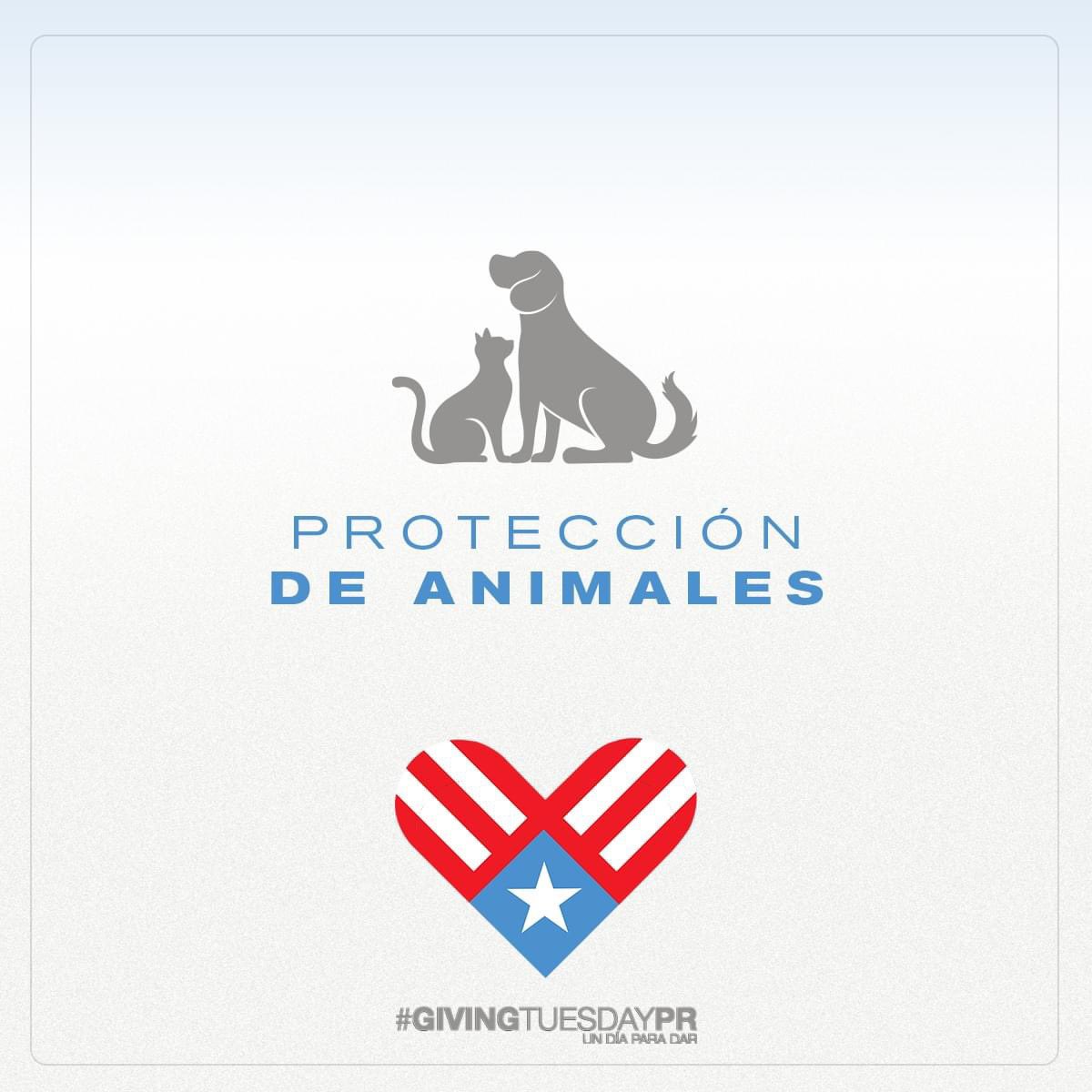 Ayuda a los proyectos de protección de animales en Puerto Rico para crear un mundo más compasivo y seguro para ellos. 

Haz tu donativo HOY aqui: registro.givingtuesday.org.pr/iniciativas/ 

#GivingTuesdayPR #LaBellezadeDar #ProtecciondeAnimales