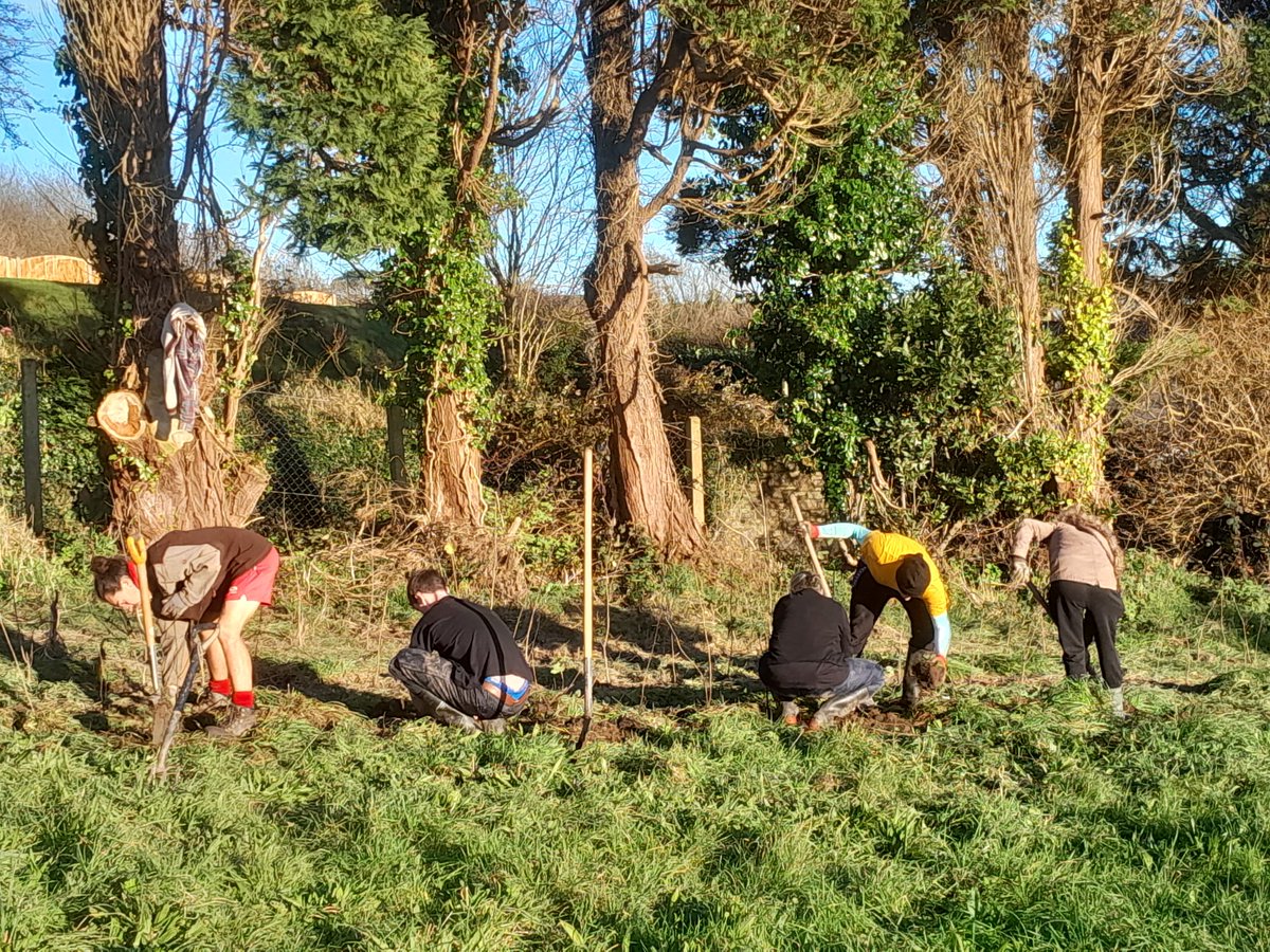 kinsalecollege's tweet photo. A lovely day for planting trees at The Friary Kinsale and learning about making terrariums for topic of the week in the Sustainable Horticulture course #Horticulture #Sustainability #climateaction #biodiversity #transitiontown #environment #ccfet #CETB #cork #IRELAND #thisisFET https://t.co/DgRLSdzX6C