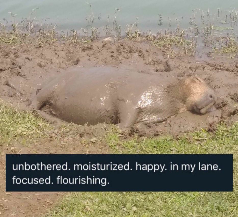 CAPYBARA_MAN's tweet photo. https://t.co/BKS9BddEcX