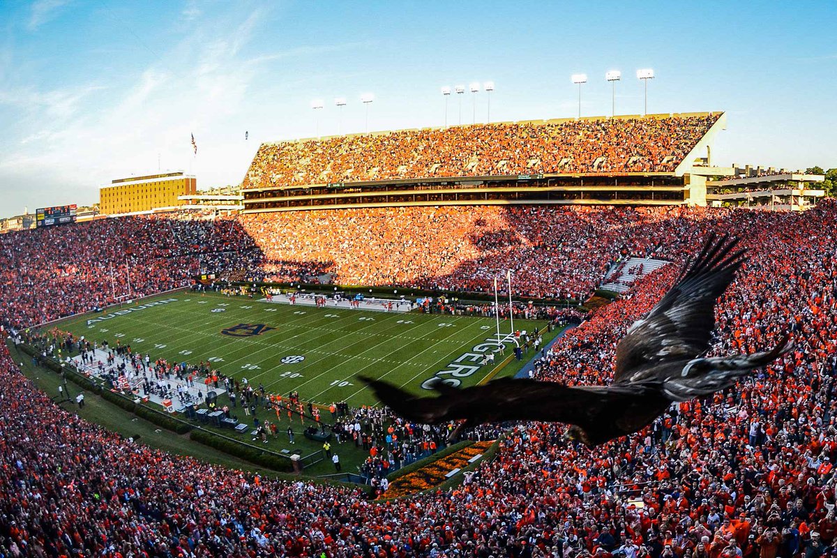 DylanGentry6's tweet photo. Extremely Blessed To Receive An Offer From Auburn University🦅🐅@CoachDavisWR @CHSREDDEVILS @CoachHughFreeze https://t.co/DGfSuXDoZ7