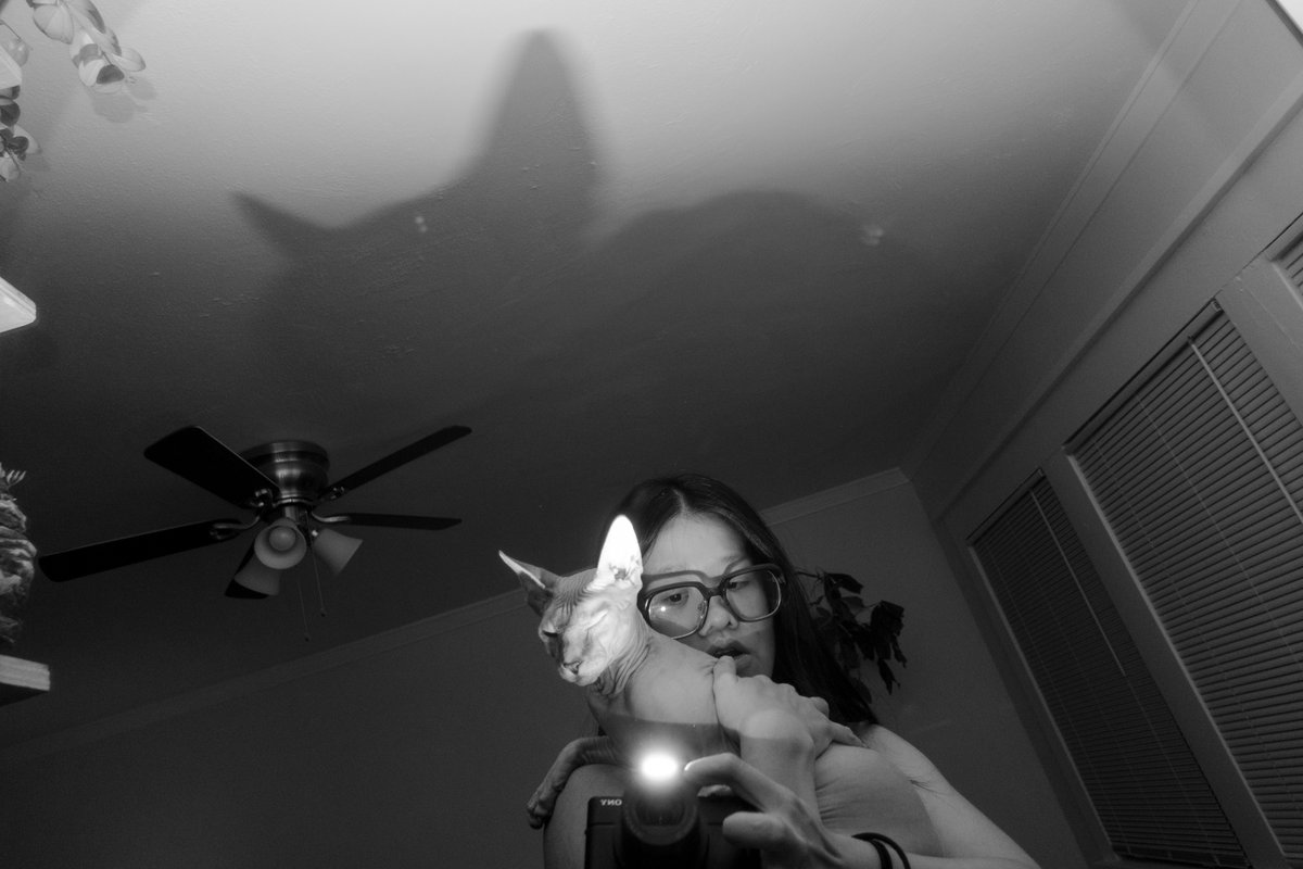 gemmaprojects's tweet image. 