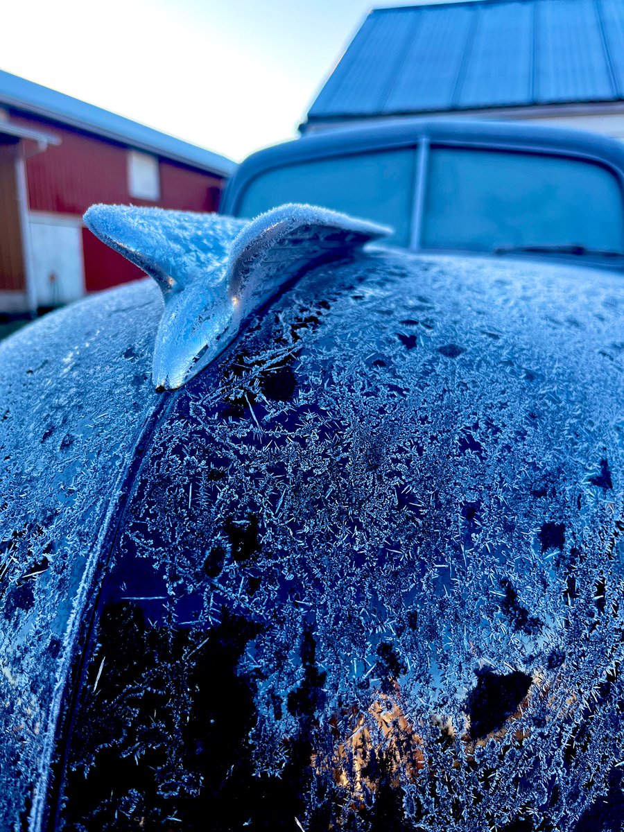 Dillon Honcoop tweet media