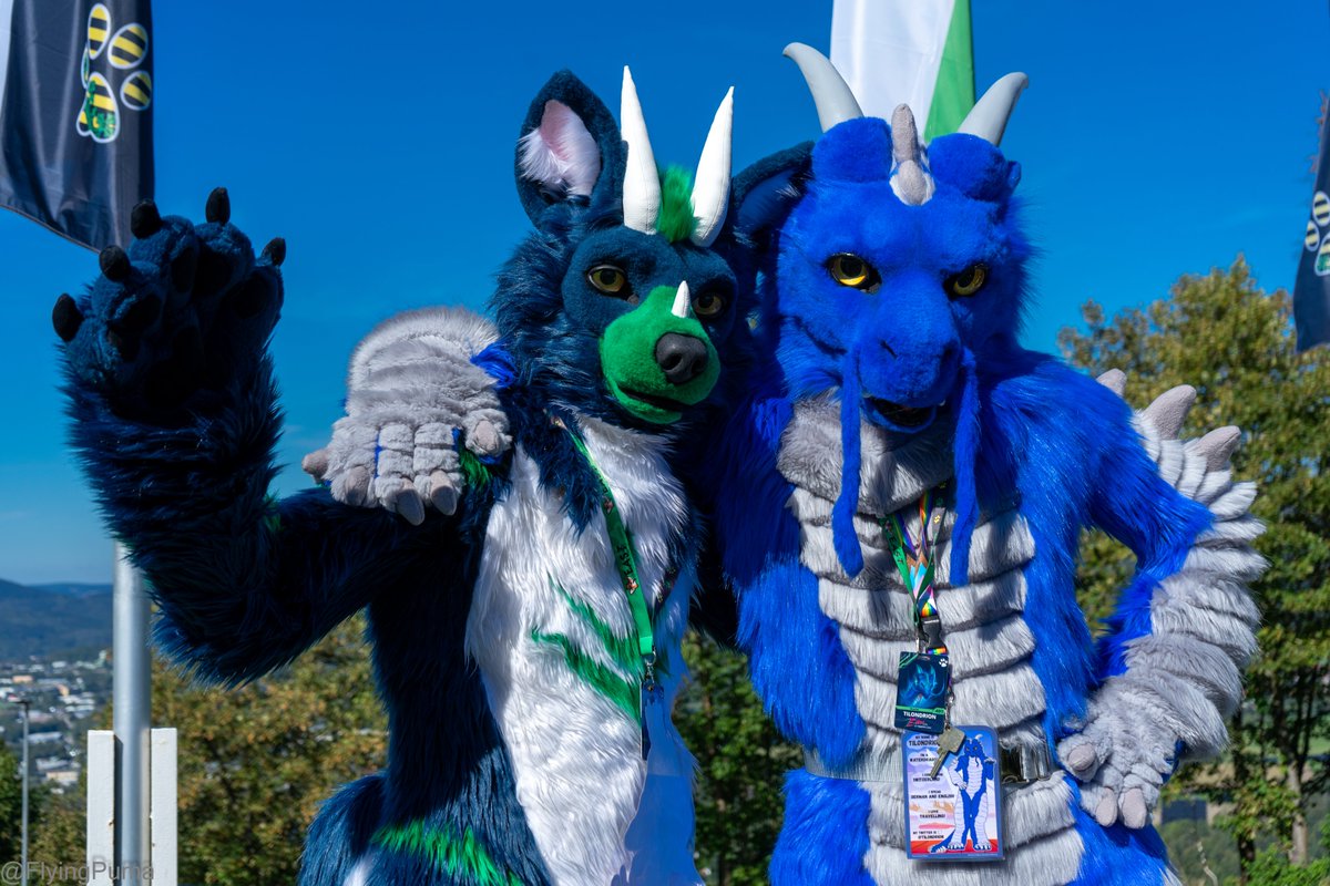 KuroWolve's tweet photo. Woldo meets a big blue dragon😀

Dragon fursuiter belongs to @Tilondrion https://t.co/2BcdlaU47o