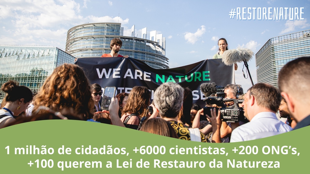 spea_birdlife's tweet photo. Estamos perto de ter a Lei de Restauro da Natureza 🤞
Cidadãos, cientistas, sociedade civil, empresas, ativistas todos apelam aos nossos líderes para #RestoreNature!
@sara_saracerdas, vote SIM à Lei de Restauro da Natureza! 💚
#ForNature #EUbiodiversity #BringNatureBack https://t.co/szSrXia7an