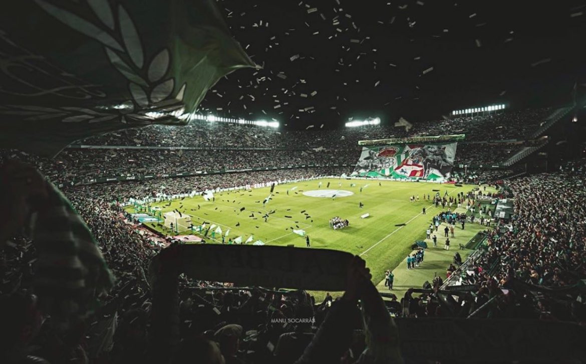 24Gavii's tweet photo. Que te acompañe al Benito Villamarín 💚 https://t.co/Yx76W2AhU3