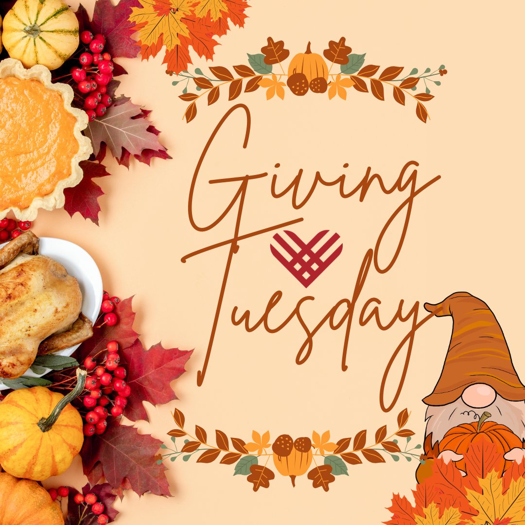 AClawlibrary's tweet photo. We are so grateful for each and every one of our library patrons! This #givingtuesday please consider making a donation to the #lawlibrary so that we can continue to provide #inperson #legalreference services! Link in Bio to #Donate https://t.co/YM5EMMEurg