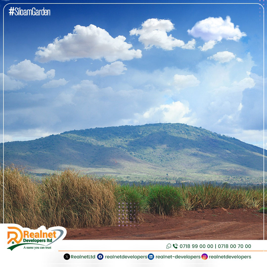 RealnetLtd's tweet photo. 🌿 Nestled in the heart of serene landscapes, 𝐒𝐢𝐥𝐨𝐚𝐦 𝐆𝐚𝐫𝐝𝐞𝐧𝐬 invites you to buy and build your dream home. 🏠 Seize the opportunity to create a haven that reflects your style and aspirations.

Call to Book: 𝟎𝟕𝟏𝟖 𝟗𝟗 𝟎𝟎 𝟎𝟎
#RealEstateDreams #LandForSale https://t.co/6B7YC0qPCK