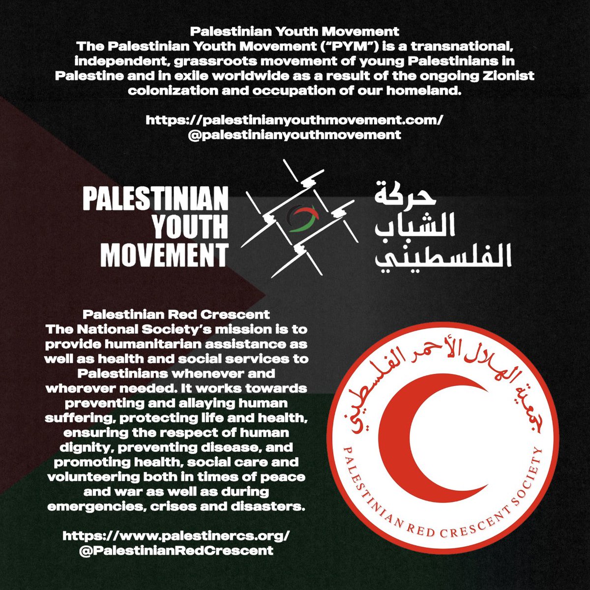 BLACK POWER FOR PALESTINIAN LIBERATION.

We stand with the people of Palestine in their struggle against Zionist occupation and oppression. 100% of the proceeds from this shirt will be donated to the Palestinian Red Crescent and Palestinian Youth Movement

movebhc.square.site