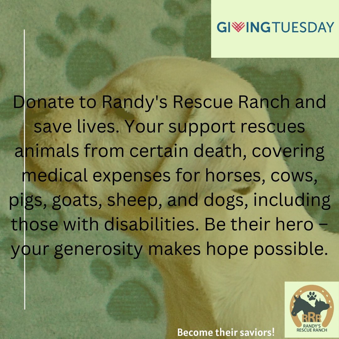 #GivingTuesday2023 

givebutter.com/RRRGivingTuesd…