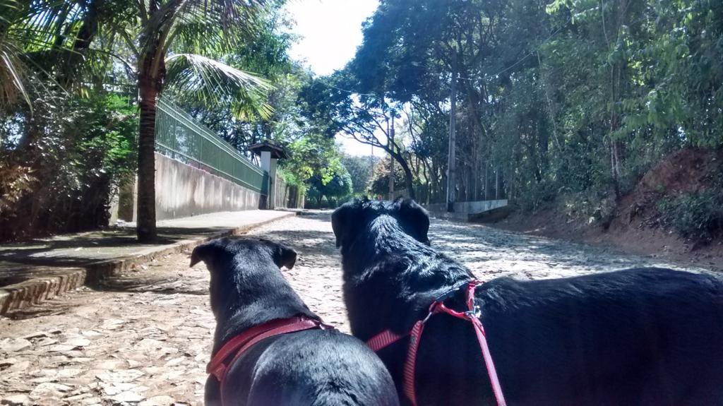 Roberta Moura tweet media