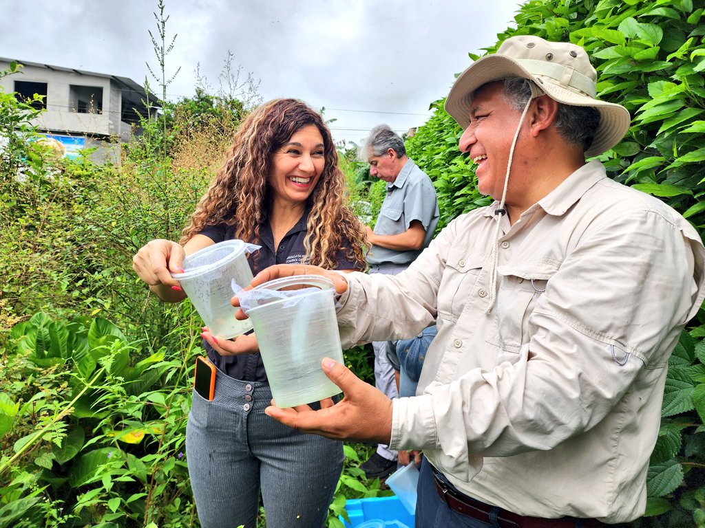 ABG_galapagos's tweet photo. Continuamos con el proceso de liberación de Aedes aegypti, en el marco del proyecto que desarrollamos con @INSPI_ECUADOR para el control y futura erradicación de esta plaga que afecta #Galápagos.
La Dra. @mcruz_6 junto al Dr. Patricio Ponce liberaron los mosquitos en Bellavista. https://t.co/yxWY4LBSdo