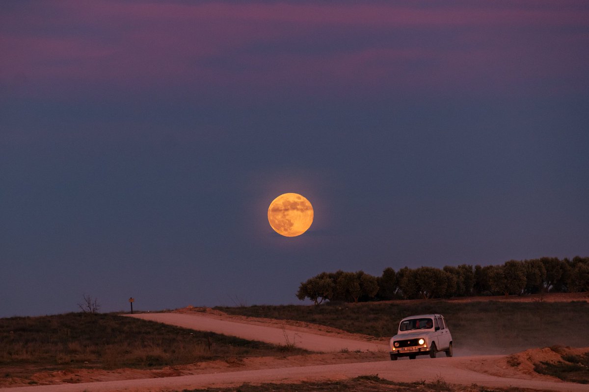 Aliciaegar_'s tweet image. "Y perderlo todo salvo el miedo
A morder el polvo desde el suelo
A querer sin querer tener"
#LaMODA