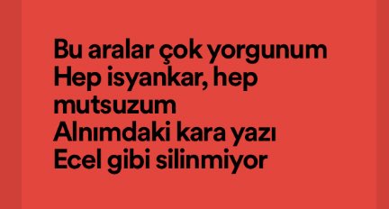 ZerenBasoglu's tweet image. cv