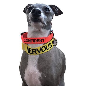xtina_remus's tweet photo. my coworkers said this is exactly how I present myself and honestly I think they’re spot on https://t.co/luMi0LZ9ku