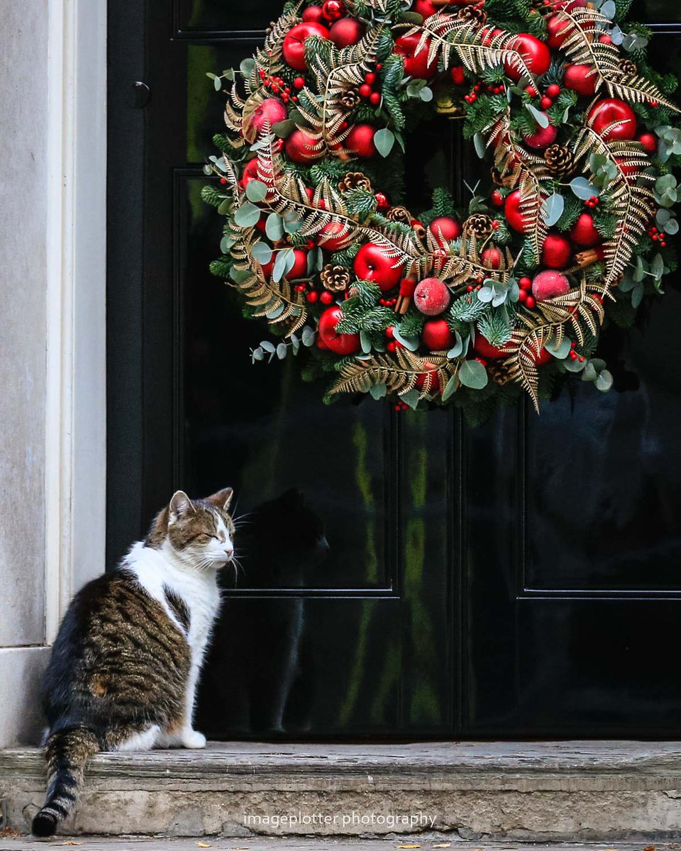 Fruit?! Where’s the fish?! (Photo @imageplotter)