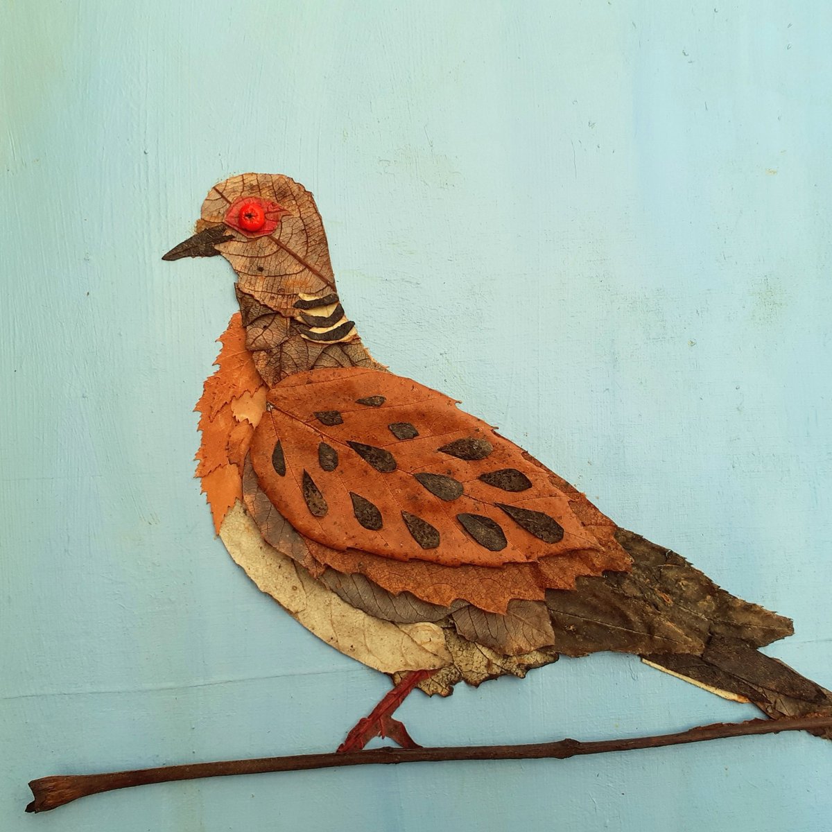 DianaCotter5's tweet image. This ones a bit different. I doodled a Turtle Dove! Made entirely from fallen leaves and a berry.🕊🍂🍁🍂 @north_dove #doodleadove