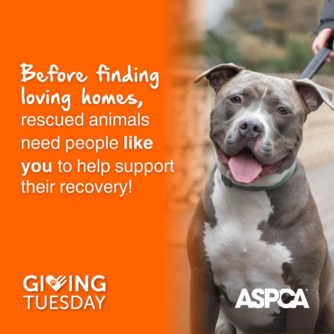 It’s #GivingTuesday and I’m supporting the @ASPCA, who works tirelessly to rescue animals and give them second chances. Before they can find a loving home, rescued animals need people like you to support them. Make a difference here: aspca.org/BeforeYou