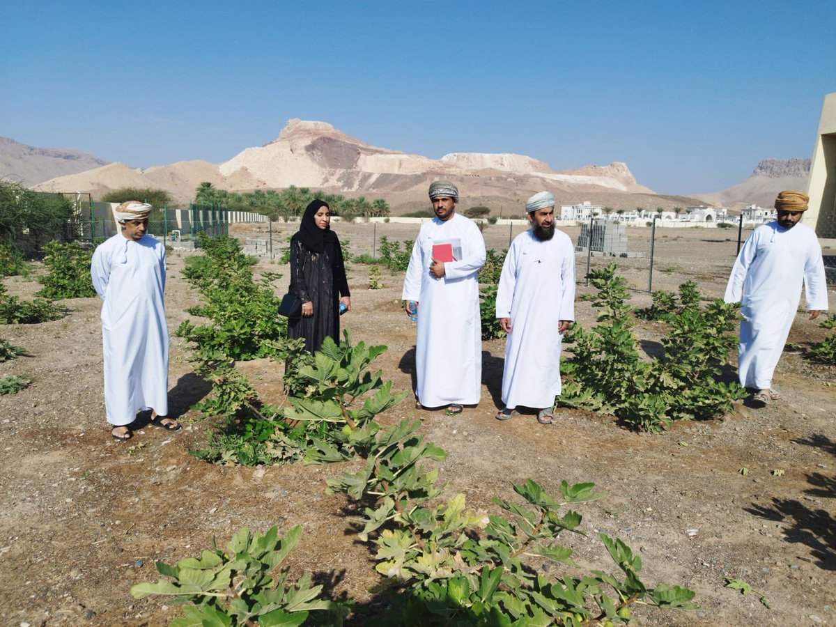 Ed_Ac_de's tweet photo. زيارة أعضاء الفريق الوطني لمشروع المدارس الخضراء بمحافظة الظاهرة لمدرسة الحسن بن الهيثم للتعليم الأساسي، تم خلال الزيارة الاطلاع على المشروع نظريا وميدانيا والاستماع لمقترحات الفريق المدرسي والوقوف على بعض الصعوبات والتحديات. حضور حصة الاستدامة لطلبة الصف الأخضر بالمدرسة. https://t.co/zuNstSG7qM