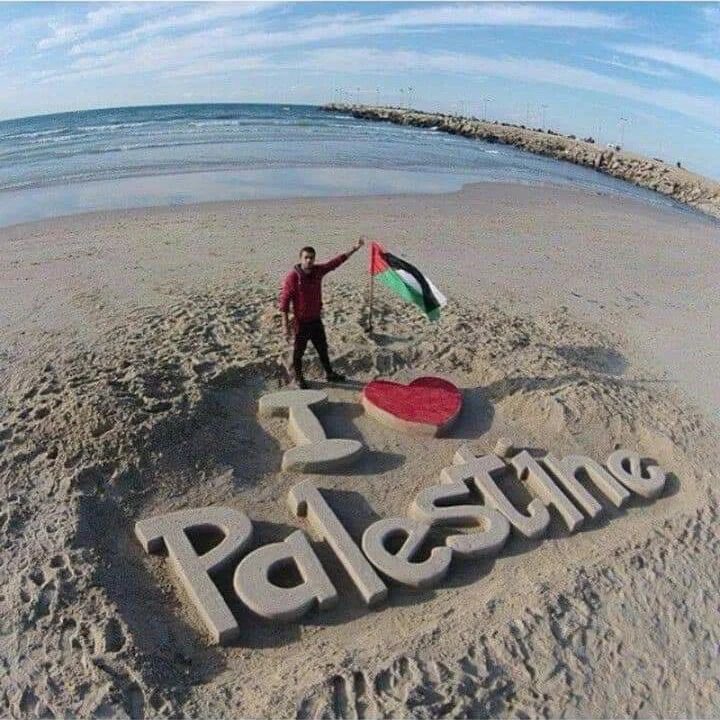 Elon Musk Listen to your conscience, don't listen to your wallet and Zionists! <a href="/elonmusk/">Elon Musk</a> 
 #ZionistLobbyAttack #VisitGaza