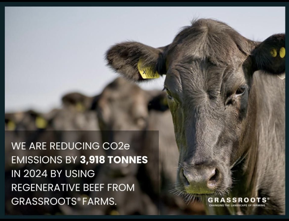 James Evans (@stabiliserjames) on Twitter photo Are you a regenerative beef producer looking at gaining access to new and exciting premium markets with a 12 month fixed contract. <a href="/GrassRootsFCo/">Grassroots Farming</a> are looking for more farmers. DM for more info Are you a regenerative beef producer looking at gaining access to new and exciting premium markets with a 12 month fixed contract. <a href="/GrassRootsFCo/">Grassroots Farming</a> are looking for more farmers. DM for more info