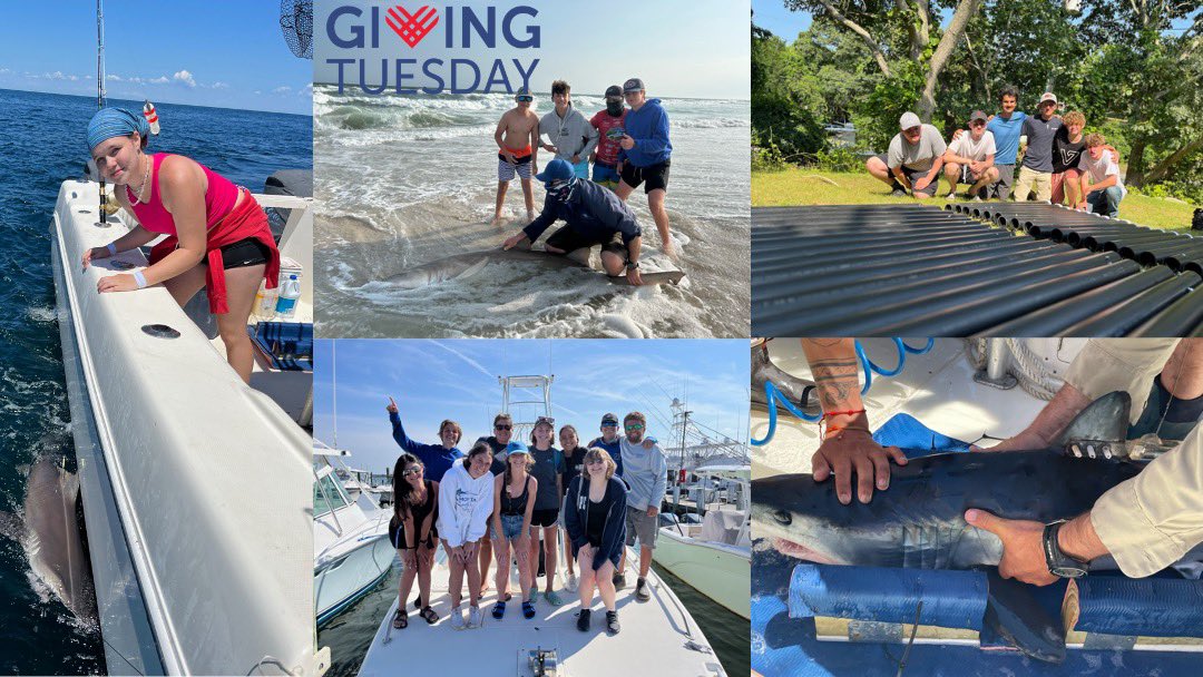 m.facebook.com/nt/screen/?par… This year for #givingtuesday , we are raising funds that will be directly used to fund tags for three separate shark conservation projects that will be conducted in the waters off of #montauk #newyork! Please consider donating to help! Thank you so much!