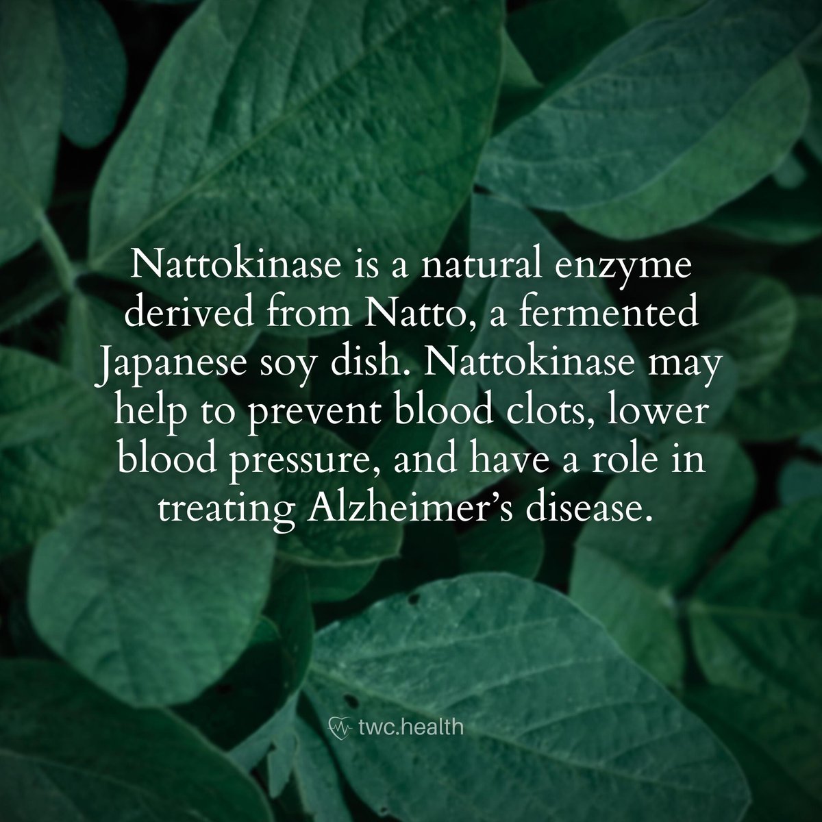 twc_health's tweet photo. What makes Spike Support different? Nattokinase.
Why is Nattokinase important? The Wellness Company breaks down why it's one of the key ingredients in Spike Support. 👇
#HealthcareSupplements
#HolisticHealth
#WellnessSupplements
#NaturalHealthcare
#HealthyLiving
#NutritionalSupplements
#HolisticWellness
#SupplementYourHealth
#HealthJourney
#Healnaturally
#doctorapproved
#thewellnesscompany