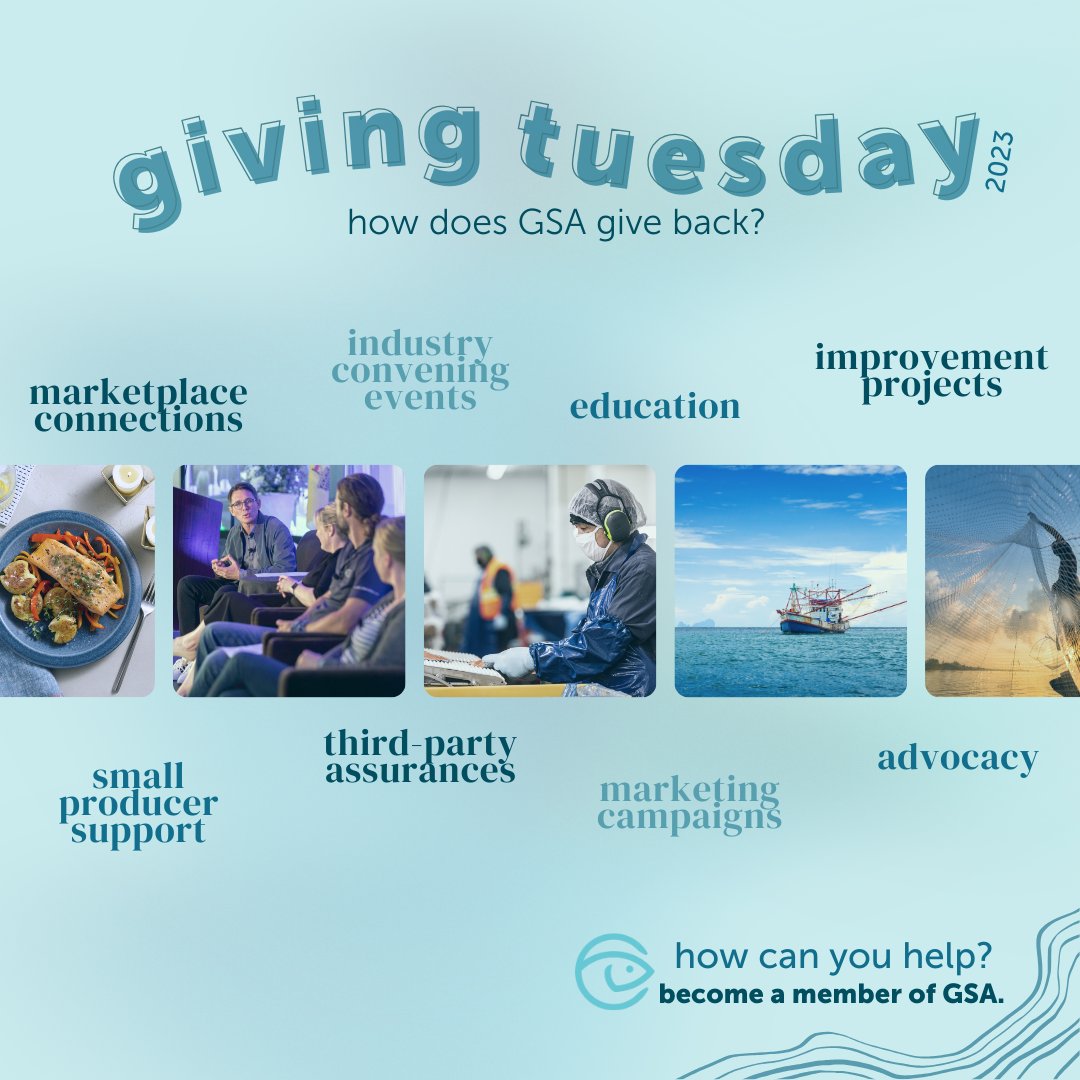 This #GivingTuesday, we invite you to celebrate by advancing responsible seafood practices 🌊🐟🌍

A substantial portion of GSA's advocacy work we is done through our membership program. Our members directly support our global projects. 
#ofFISHalmember
bit.ly/46C3Zbt