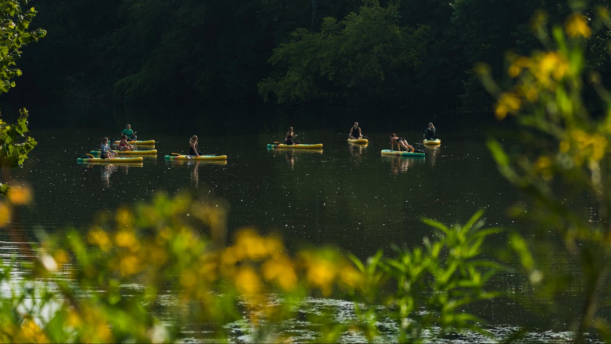 Frank's Paddlesports Livery tweet media