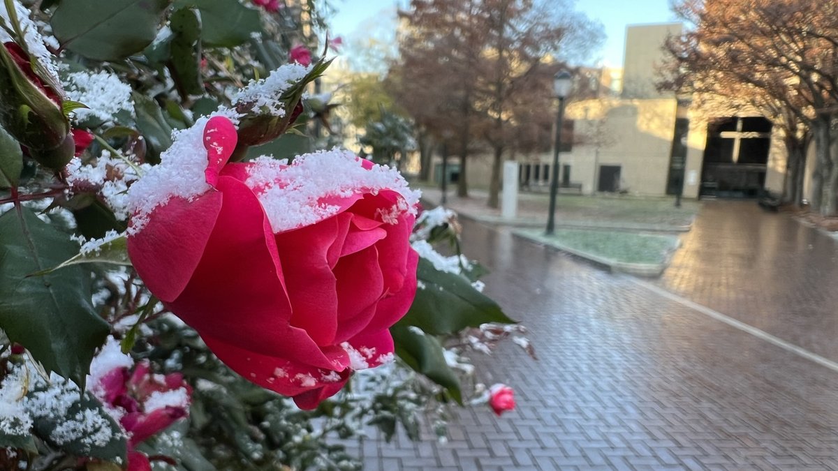 Penn's tweet photo. That first snow feeling 🌨️ https://t.co/lyzXiAVbc2