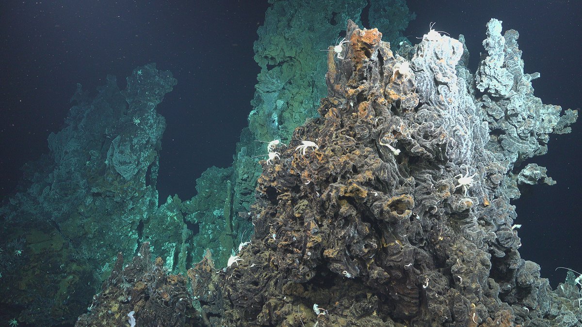 USGSCoastChange's tweet photo. Deep-sea #hydrothermal vents were unknown to science until 1977, when #oceanographers discovered them on a research expedition along the Eastern Galapágos Spreading Center. #USGS scientists returned to investigate these vents and their #marineminerals: https://t.co/nPUxcAJkg8 https://t.co/f9WwLAZd0U