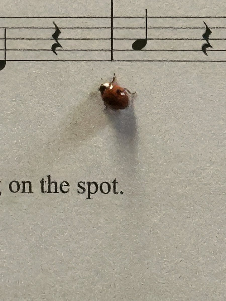 Despite the wintery weather and a fluttering of snow falling as the choir was arriving for our rehearsal tonight, Ewan, our accompanist, had a wee visitor at the piano.