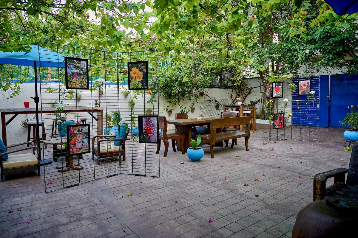 🌸🍃In Full Bloom - A Zen Experience with Azaree. Throwing it back to Pinktober🎀 when we curated our first multi-sensory art experience 🥳We delved in nature photography, cocktail crafting, relaxing coloring sessions, and intimate conversations about living a holistic lifestyle.