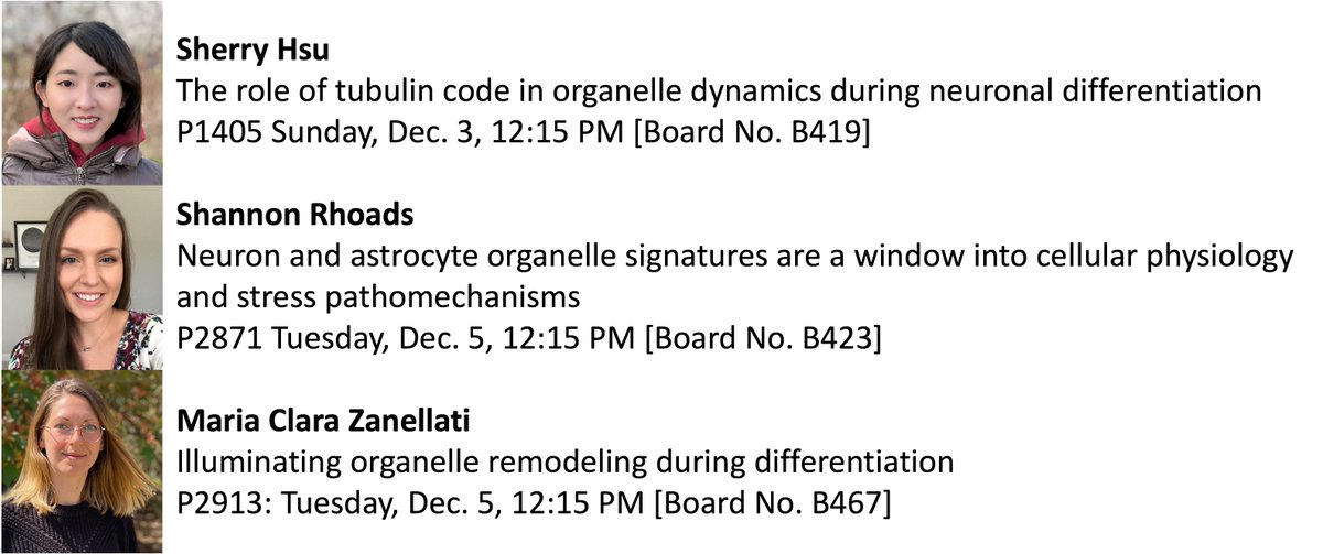 Several Cohen Lab members will present posters at #cellbio2023 this year - come see how they are using multispectral #microscopy to reveal #organelle dynamics in stem cells, neurons, and glia! 🌈🔬