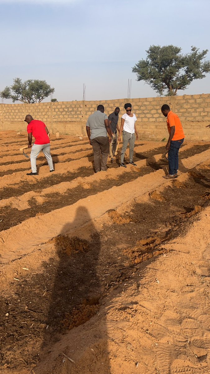 NigeriElles's tweet photo. Les graines de moringa ont été trempées durant 72h avant d’être semées en vue d’accélérer leur germination. 
L’arrosage se fera chaque 2 jours jusqu’à apparition de nos pousses 🌱 🌱🌱
Rdv dans 10 jours! 
#MoringaLand 
#womeempowerment 
#agribusiness 
#autosuffisancealimentaire https://t.co/sjZ0rYtYNi