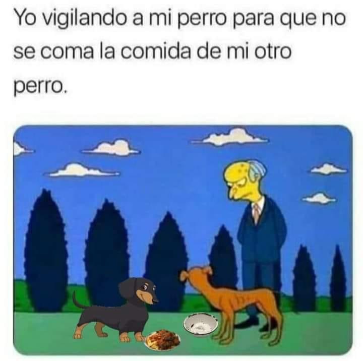 omarmtz77's tweet photo. Siempre ! Jajajajaj https://t.co/3rN84uUF4T